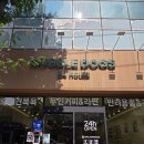 [첨단 애견목욕] 우리 아이 목욕시키고 개운하게 카페까지 함께 이용해요 버블독스 광주 쌍암점