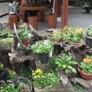 개울건너 민박 이미지