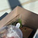 은미횟집 이미지