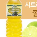 태양팜스 이미지