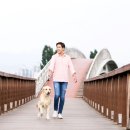 행복한 산책 이미지