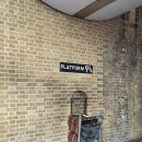 Gallery house 민박 | [여자 혼자 런던 여행] 킹스크로스역 | 소호거리 | 대영 박물관 | 노팅힐 | 내셔널 갤러리 | 라이언킹...