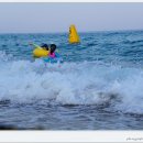 하저해수욕장 이미지