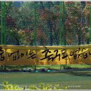 봉양축구장 이미지