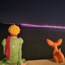 어린왕자와 사막여우 이미지