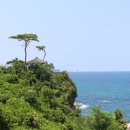 유명족발 이미지