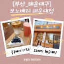 카페베리 앞 도로 | [부산해운대카페]보노베리 해운대점 방문후기, 부산디저트맛집, 해운대에서 만난 감성 디저트 카페