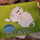 쿠미잡화점