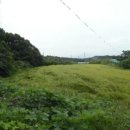 삼봉3리 마을회관 이미지