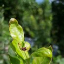 우애3농장 이미지