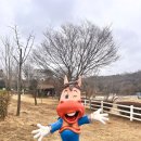 양촌목장 이미지