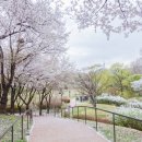 남산체육공원 화장실 이미지