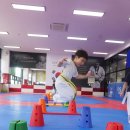 용인대다옴태권도장 이미지