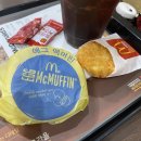 씨유하남은행점 | 용문사 템플스테이 1일차.