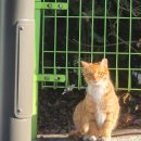 동네방네 사우나 | 너무나 오래 밀린 12월 마지막과 1월 일상 기록: 웃긴 호캉스와 직장스트레스 선물 같은 함께하는 사람들😟🎁