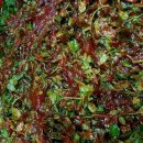 시골반찬가게 이미지