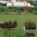 한가족농장 이미지