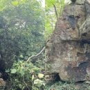 지도 두류단 이미지