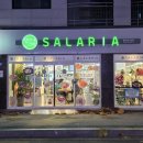 샐러리아 두산점 | 대구 수성구 포케맛집 샐러리아 두산점