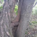 오르다 보면 이미지