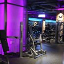 바디채널 이미지