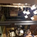 싱 모텔 이미지