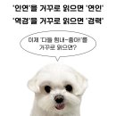 없음 이미지