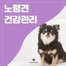 곤지암 동물병원 이미지