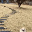 메르시 풀빌라 이미지