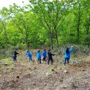 삼수령목장 이미지