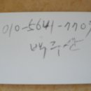 궁전포장나이트