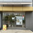 24/7플랜드 | 울산 야음동 꽃집 수풀플라워, 24시 무인픽업 가능한 꽃다발 선물 추천