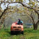 세종특별자치시농업기술센터 이미지