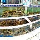 속초대게촌 이미지