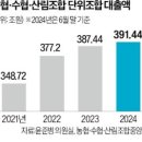 농협·수협, 대출액 400조 육박…재무건전성 빨간불 | 국내은행 부실채권 15조 육박…기업대출 부문이 80% 달해 | 이미지