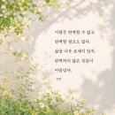 인생 2막 이미지