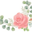 해운대롯데캐슬비치 이미지