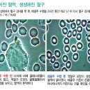참빛에너지
