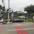 팔공산심천랜드 이미지