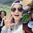 삼시세끼밥상 이미지