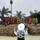 용인 캐리비안베이 6월 미들시즌 이용 후기 | 주차장, 락커룸, 메가스톰 대기 시간, 식당 등