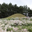 중삼 | 음력(陰曆) 9월 9일은 중구절(重九節)입니다.