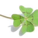 굿럭투데이 이미지