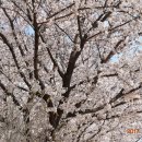 금호강4 이미지