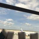 보리수약국 | [캄보디아/태국 여행] 낙오자는 버린다 3. (더 베일/Cambodia Airways KR703/방콕/아시아티크/차오...