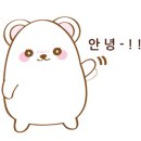 루리머리방 이미지