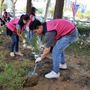 강남근린공원 이미지