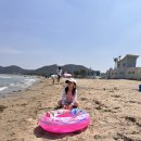 감나무민박 이미지