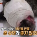 이경민농장 이미지