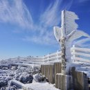 캠퍼트리 호텔 앤 리조트 이미지